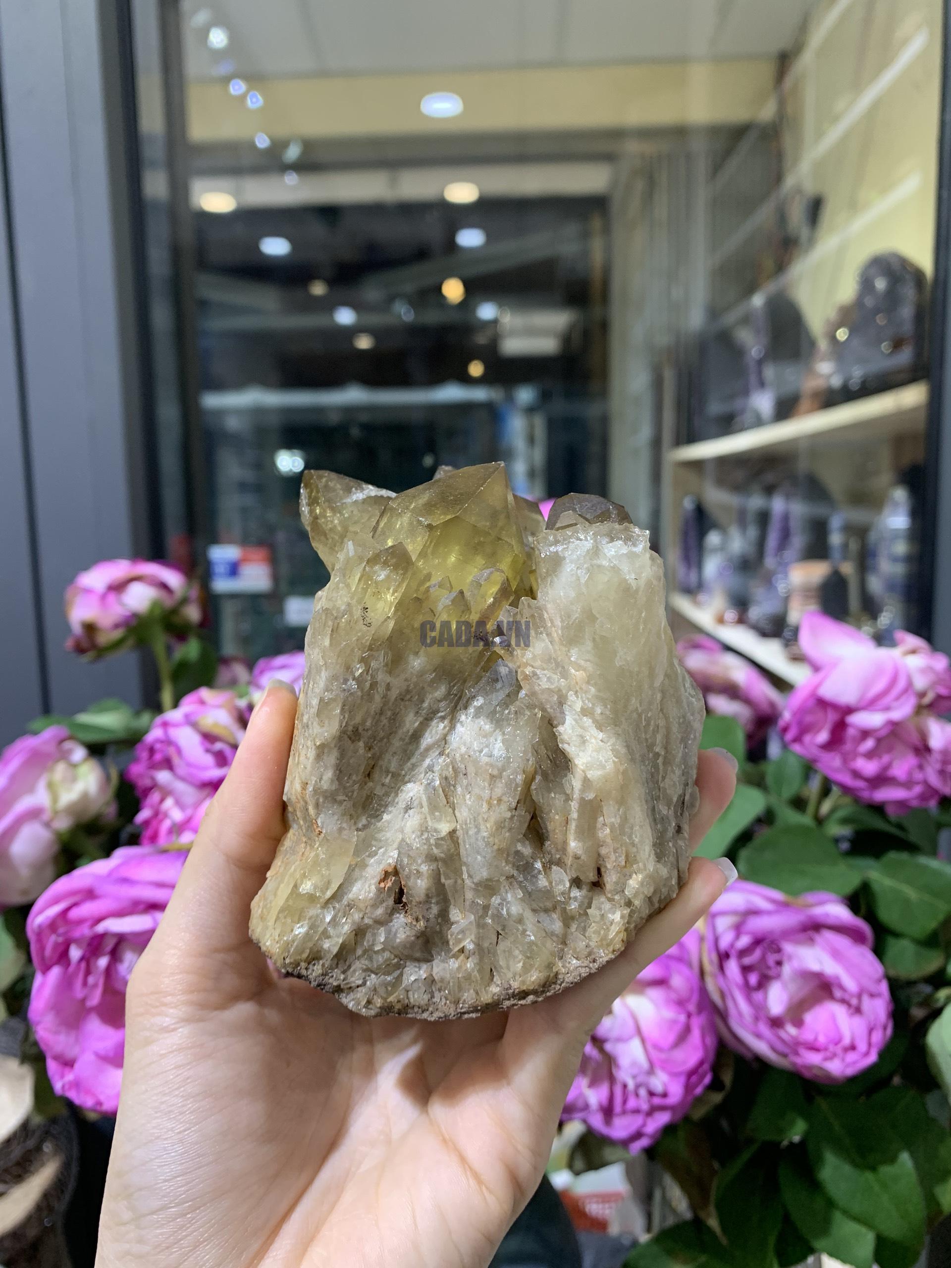 Pineapple Citrine (PC02), KL: 474GRAM – KT: 10*8CM | CADA DECOR