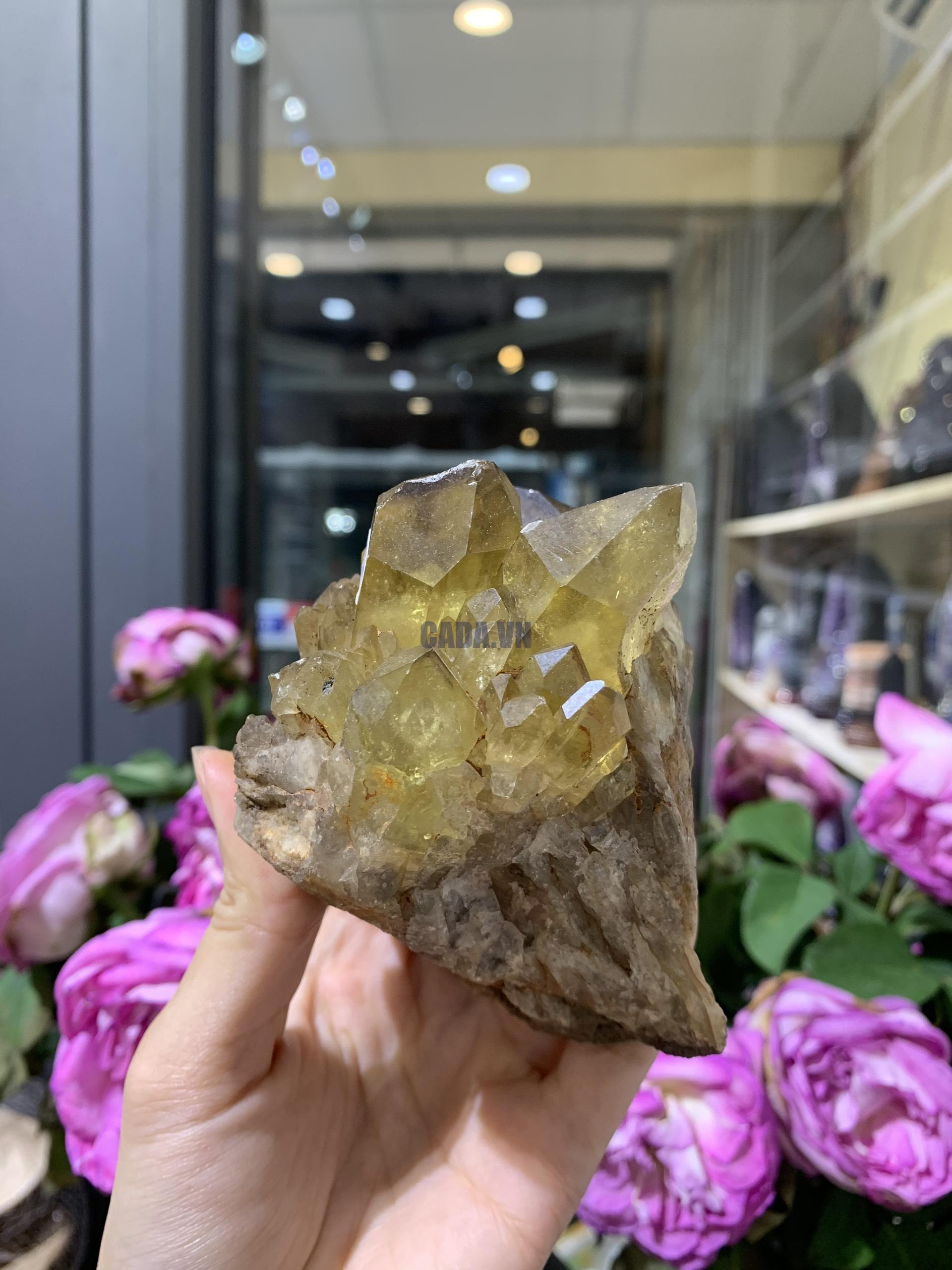 Pineapple Citrine (PC02), KL: 474GRAM – KT: 10*8CM | CADA DECOR