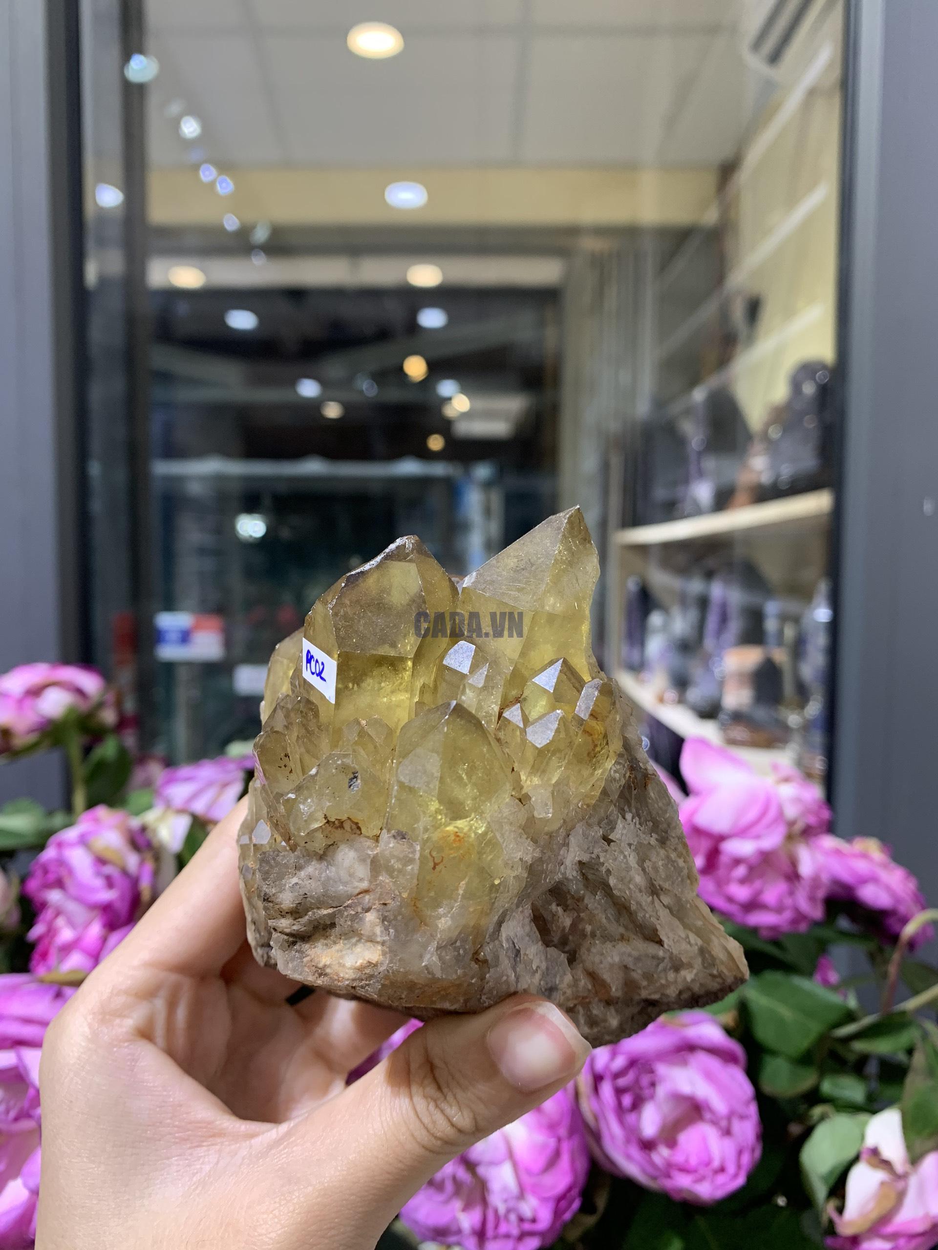 Pineapple Citrine (PC02), KL: 474GRAM – KT: 10*8CM | CADA DECOR