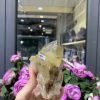 Pineapple Citrine (PC03), KL: 324GRAM – KT: 9*6CM | CADA DECOR