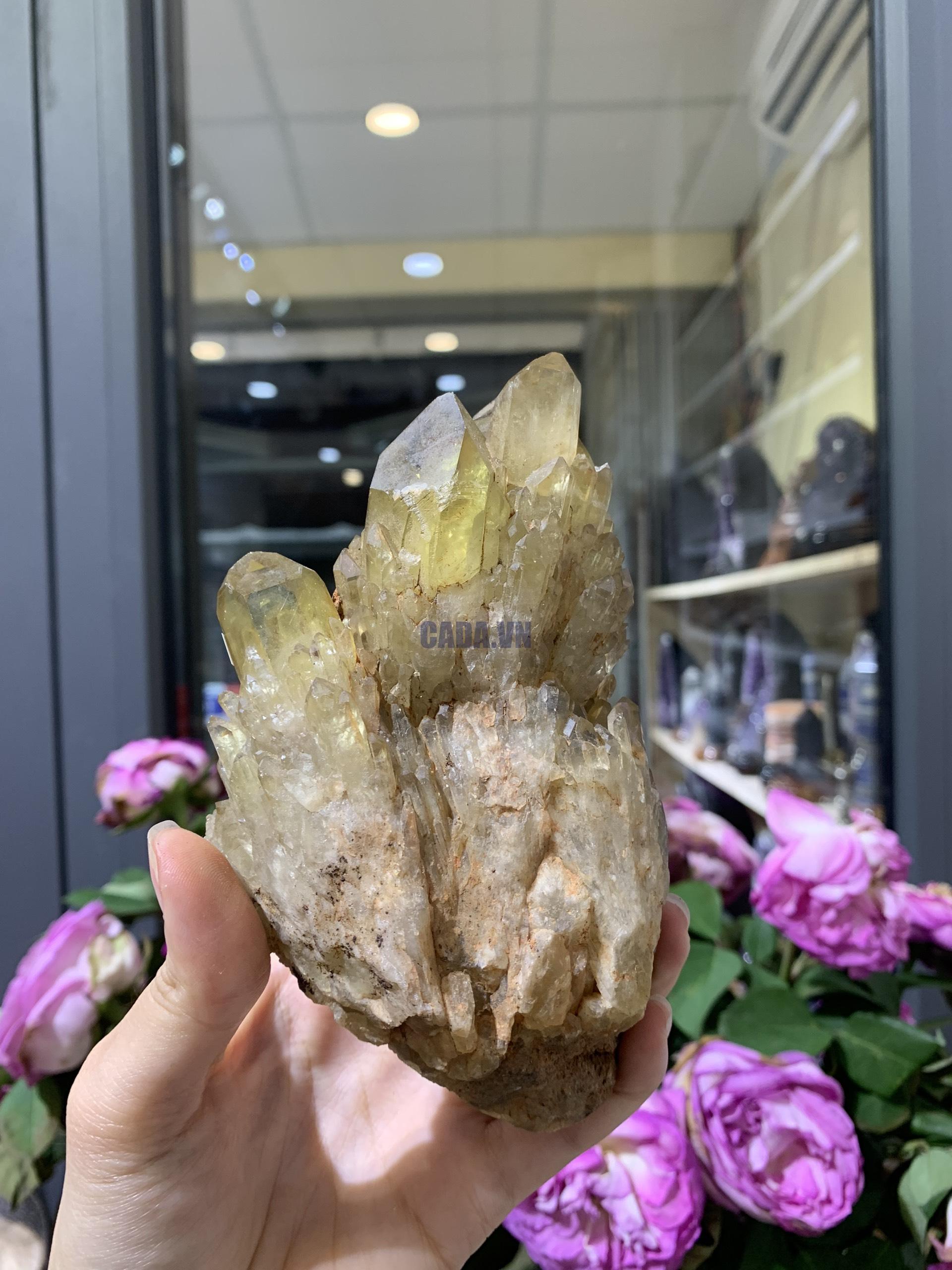 Pineapple Citrine (PC04), KL: 716GRAM – KT: 14*7CM | CADA DECOR