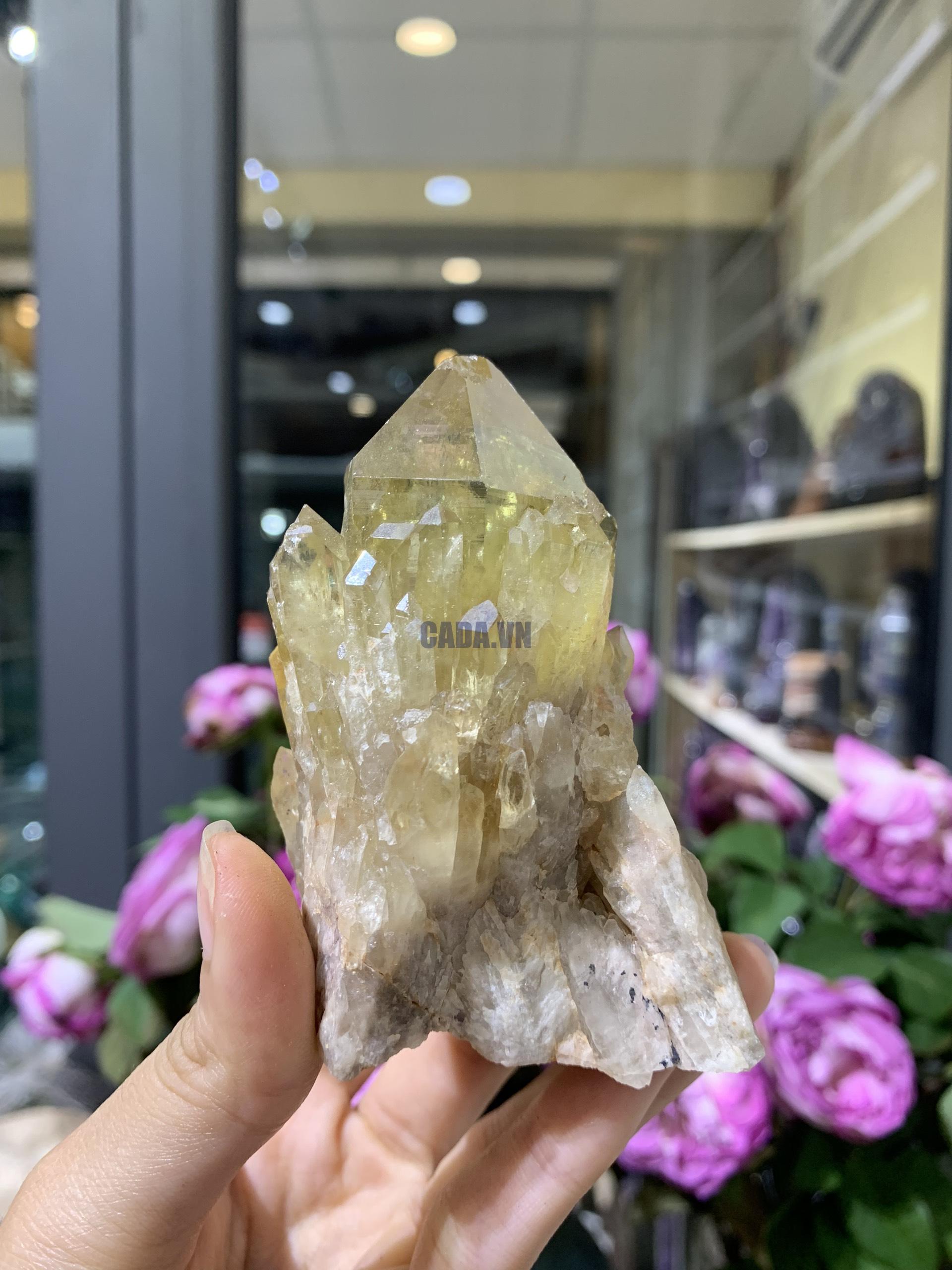 Pineapple Citrine (PC05), KL: 230GRAM – KT: 8*5CM | CADA DECOR