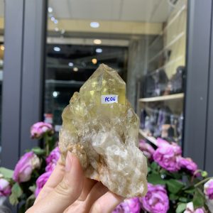 Pineapple Citrine (PC06), KL: 266GRAM – KT: 10*7CM | CADA DECOR