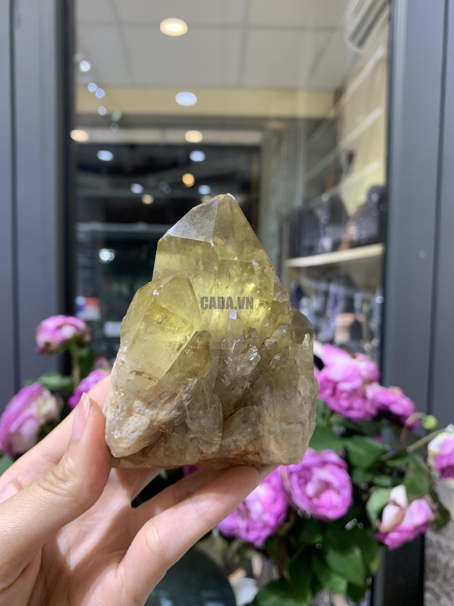 Pineapple Citrine (PC06), KL: 266GRAM – KT: 10*7CM | CADA DECOR