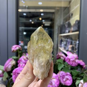 Pineapple Citrine (PC06), KL: 266GRAM – KT: 10*7CM | CADA DECOR