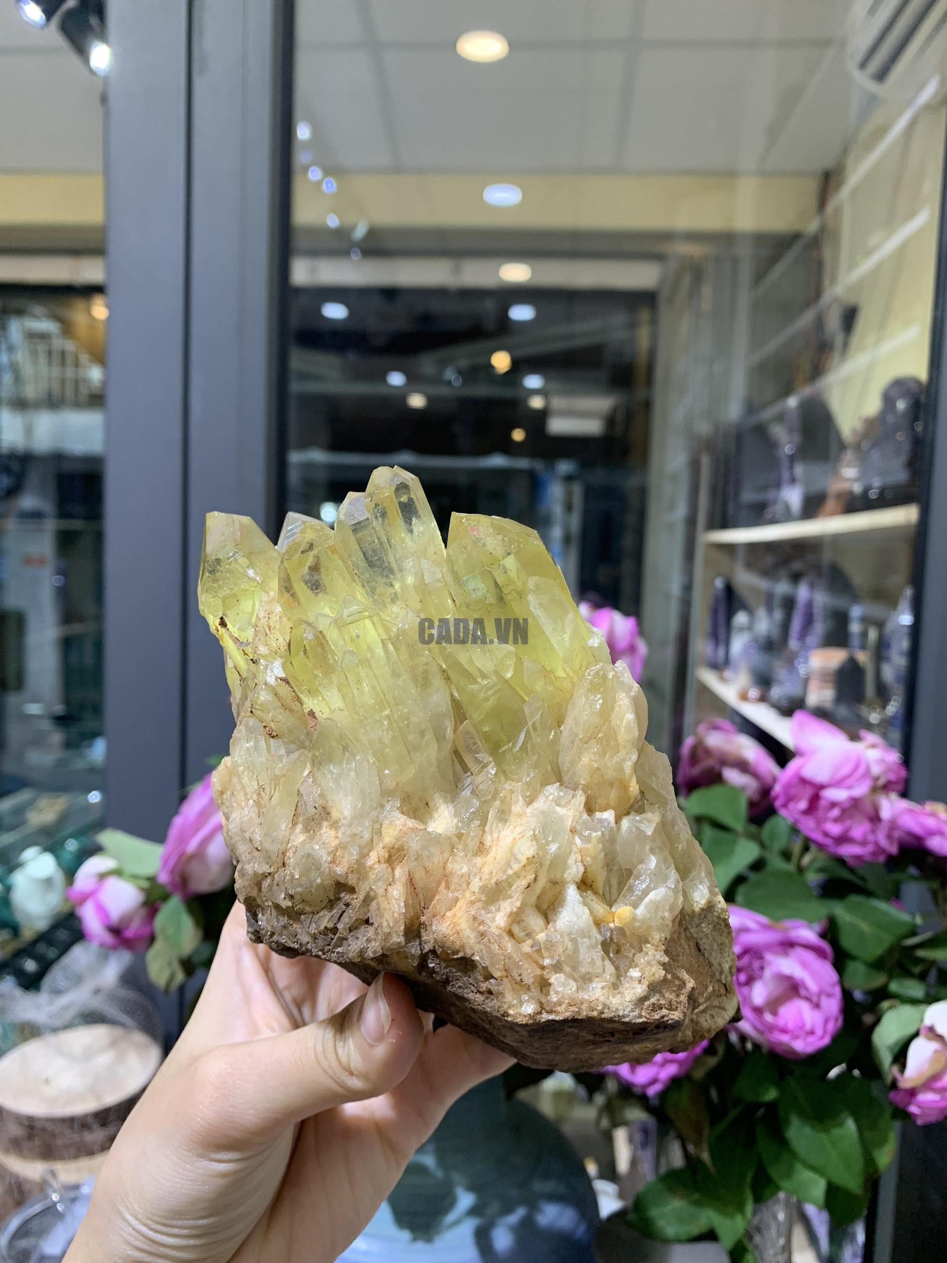 Pineapple Citrine (PC09), KL: 914GRAM – KT: 10*10CM | CADA DECOR