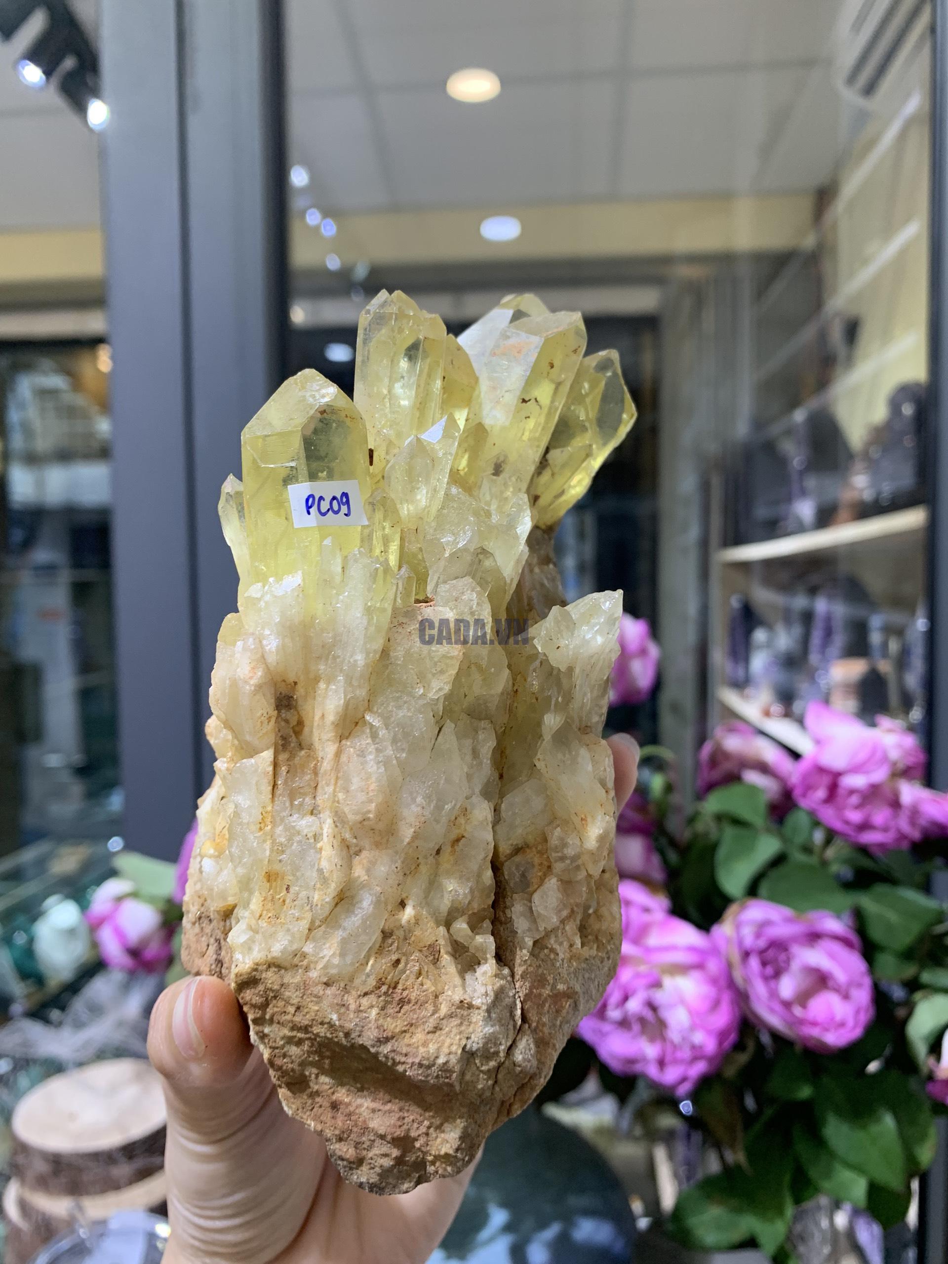 Pineapple Citrine (PC09), KL: 914GRAM – KT: 10*10CM | CADA DECOR