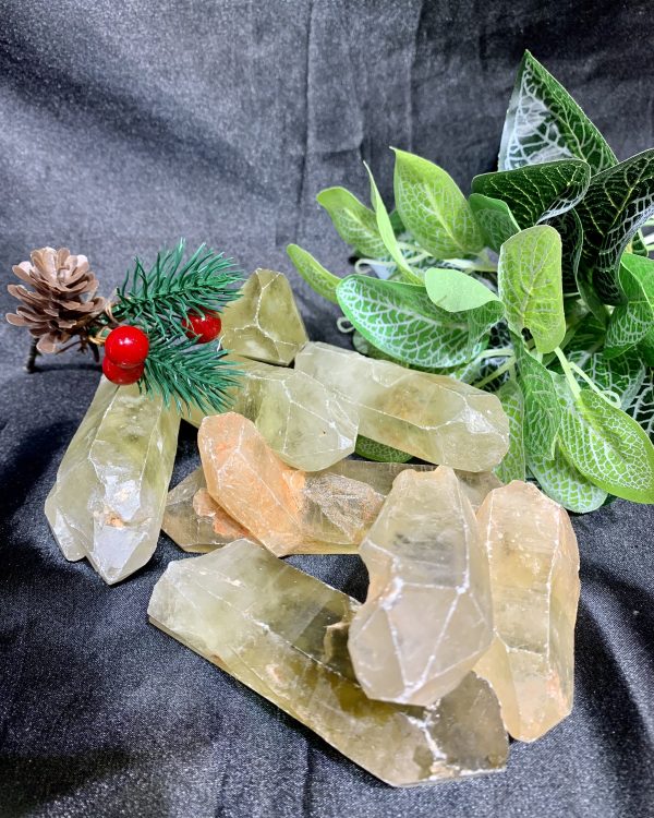 Trụ mầm thô Thạch Anh Vàng - Citrine | Đá trang trí, sưu tầm, healing | CADA DECOR