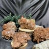 Aragonite | Đá trang trí, sưu tầm, healing | CADA DECOR