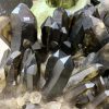 Cụm tinh thể Thạch Anh Khói Vàng – Smoky citrine quartz (VK39) | CADA DECOR