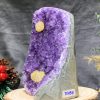HỐC THẠCH ANH TÍM NHỎ – SMALL AMETHYST GEODE (TV494), KL: 0,635KG, KT: 12*8CM