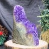 HỐC THẠCH ANH TÍM NHỎ – SMALL AMETHYST GEODE (TV457), KL: 0,495KG, KT: 13*4CM
