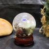 CG3 (3)