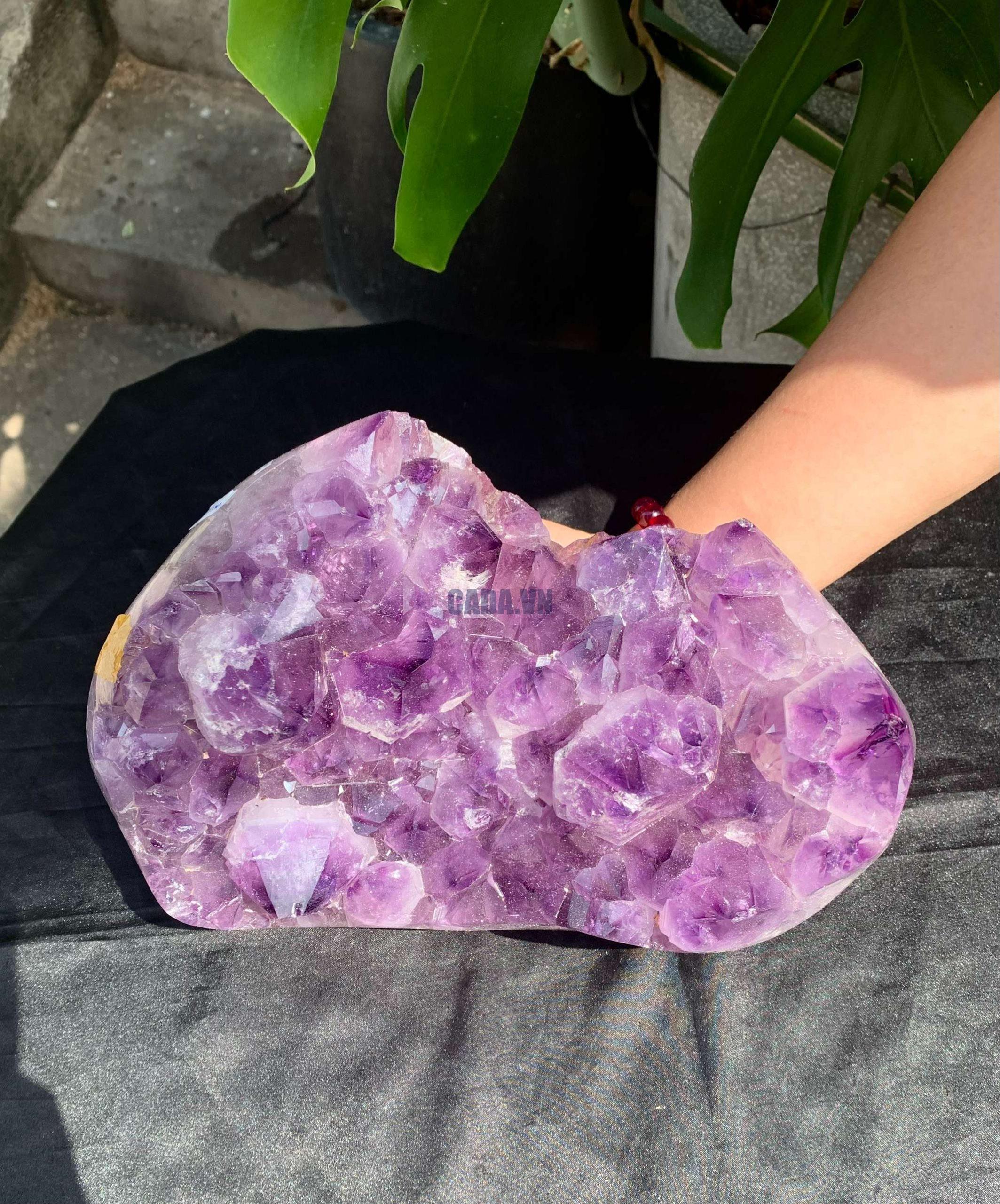 VỈ MẦM THẠCH ANH TÍM (VM112), KT: 13,5*21,5CM – KL: 4,9KG | CADA DECOR
