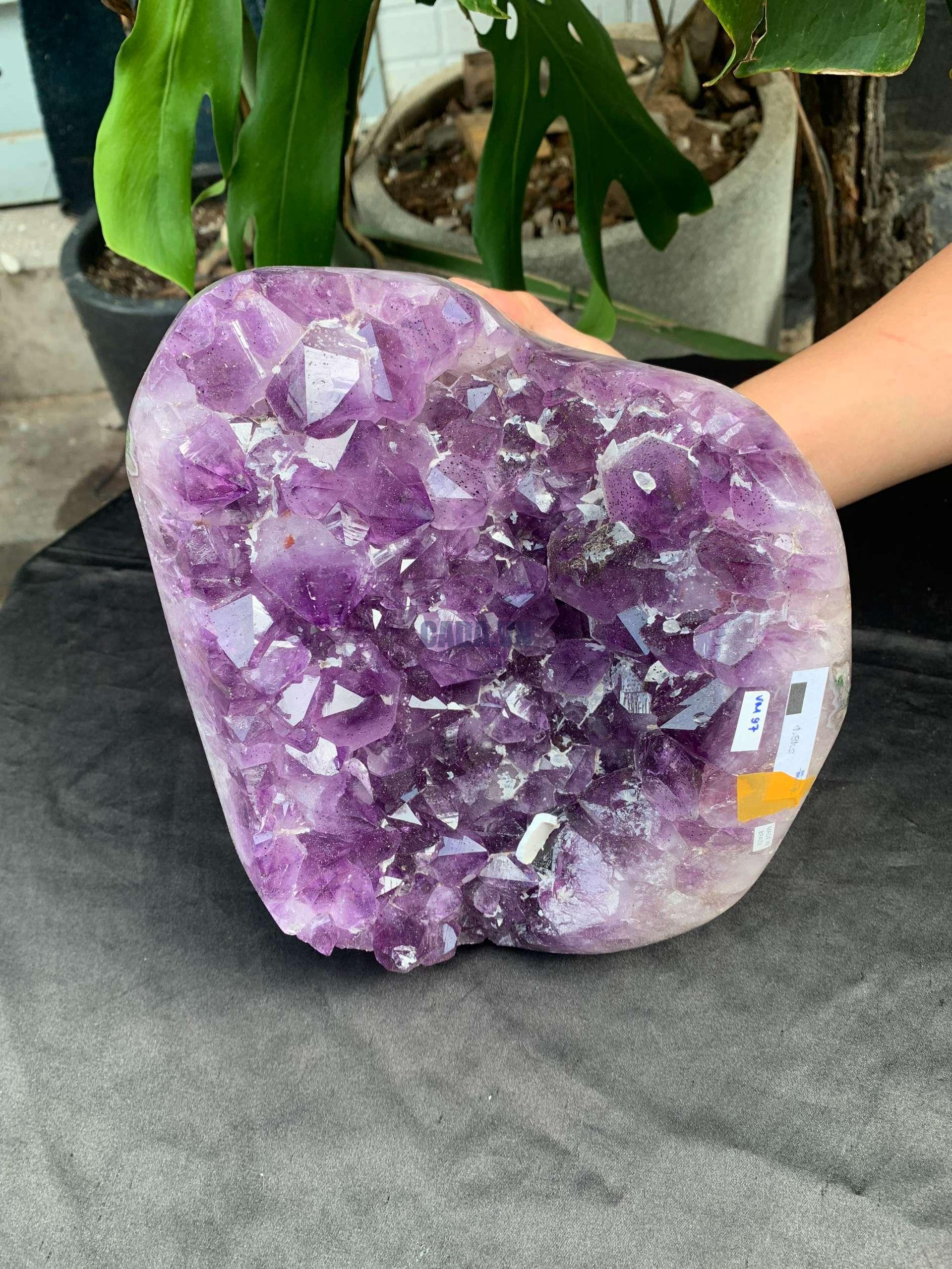 VỈ MẦM THẠCH ANH TÍM (VM97), KT: 17,5*20CM – KL: 4,8KG | CADA DECOR