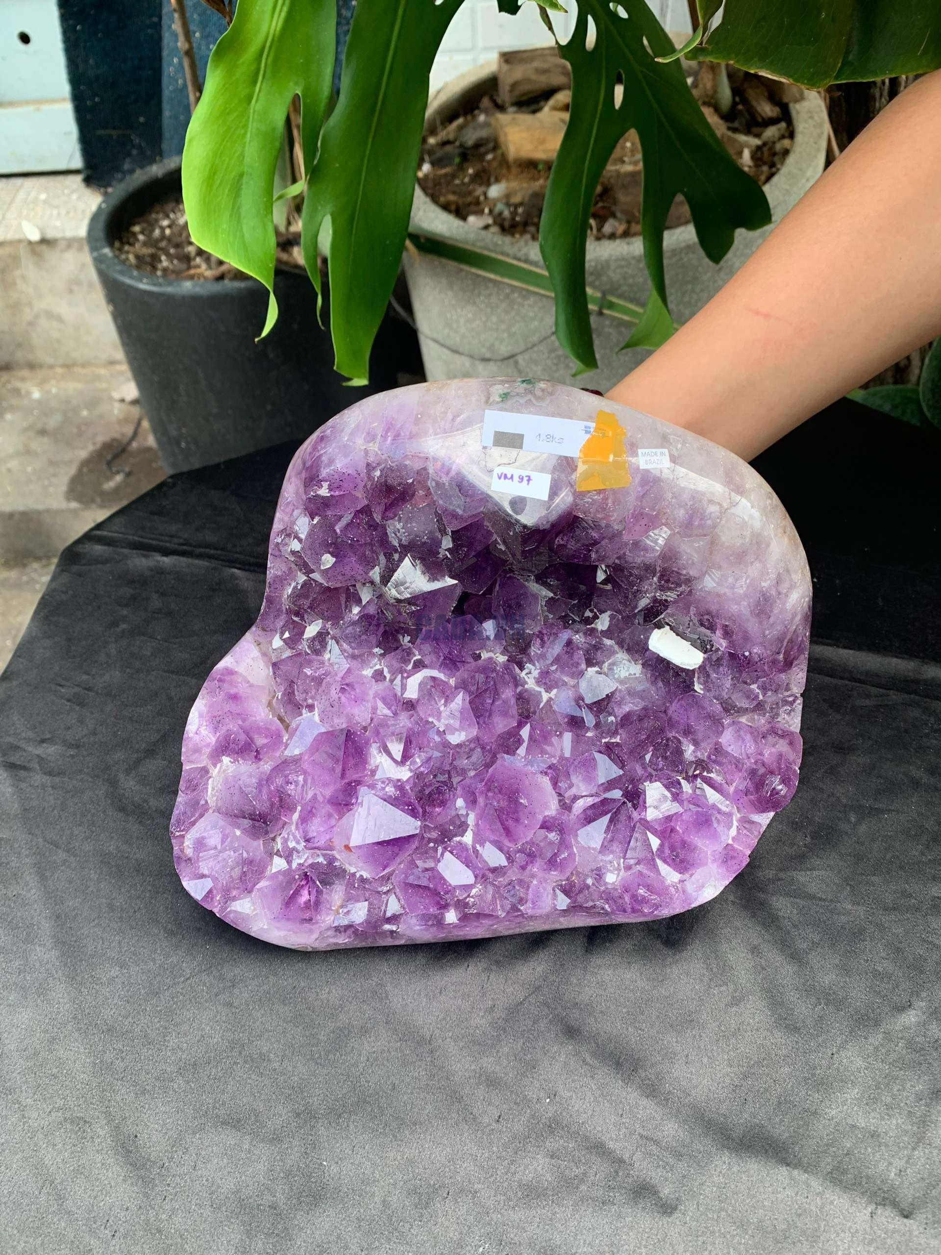 VỈ MẦM THẠCH ANH TÍM (VM97), KT: 17,5*20CM – KL: 4,8KG | CADA DECOR