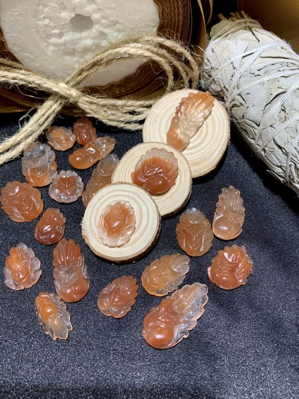 Mặt hồ ly lông thỏ đỏ