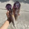 Que thô Thạch Anh Tím 20 - 25cm
