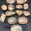 PALM SUNSTONE | CADA DECOR