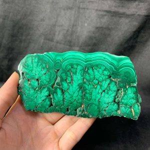 Malachite slice - đá Lông Công - Đá khổng tước | CADA DECOR