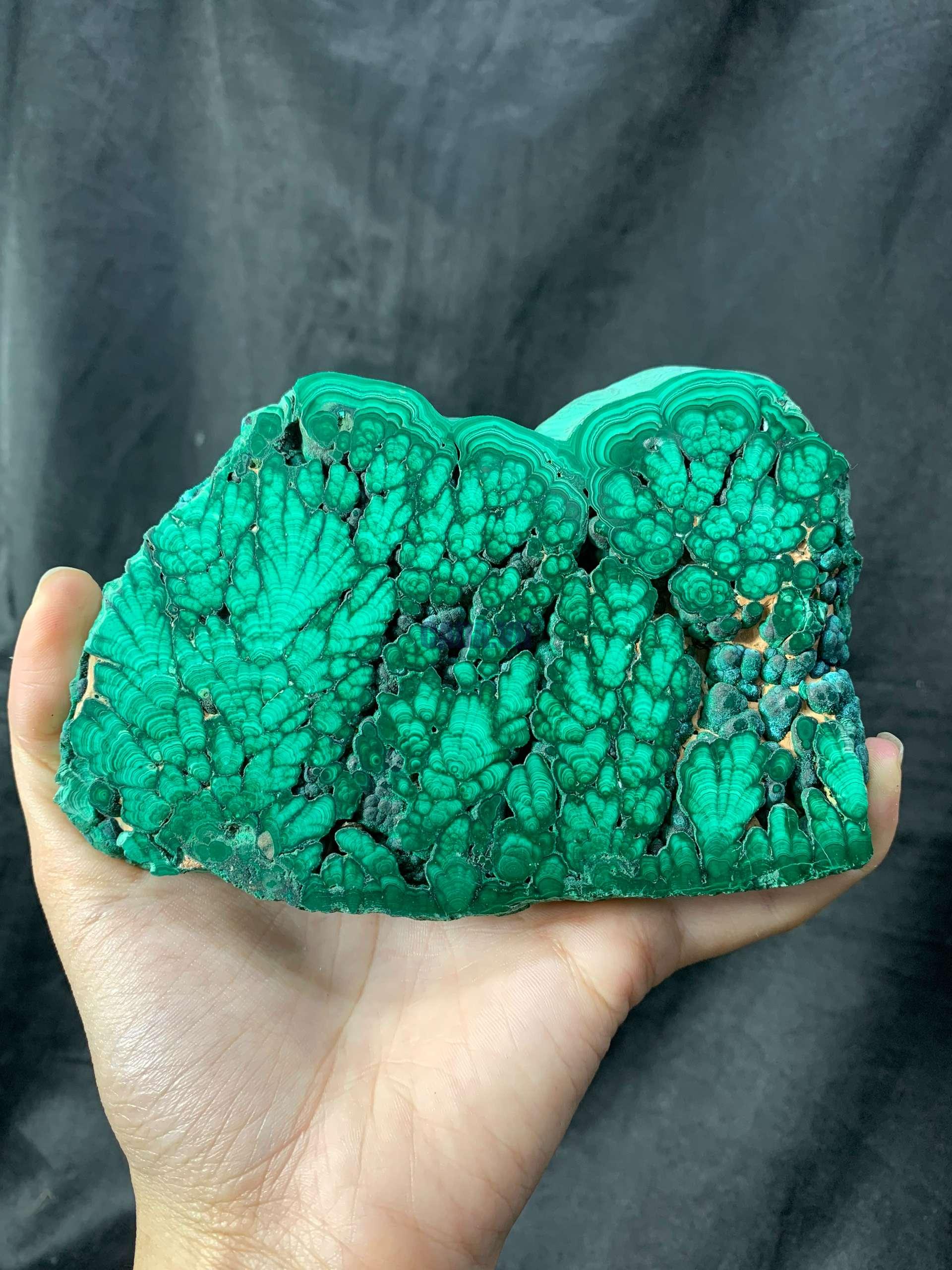 Malachite Slice – Đá Lông Công – Đá Khổng Tước | CADA DECOR