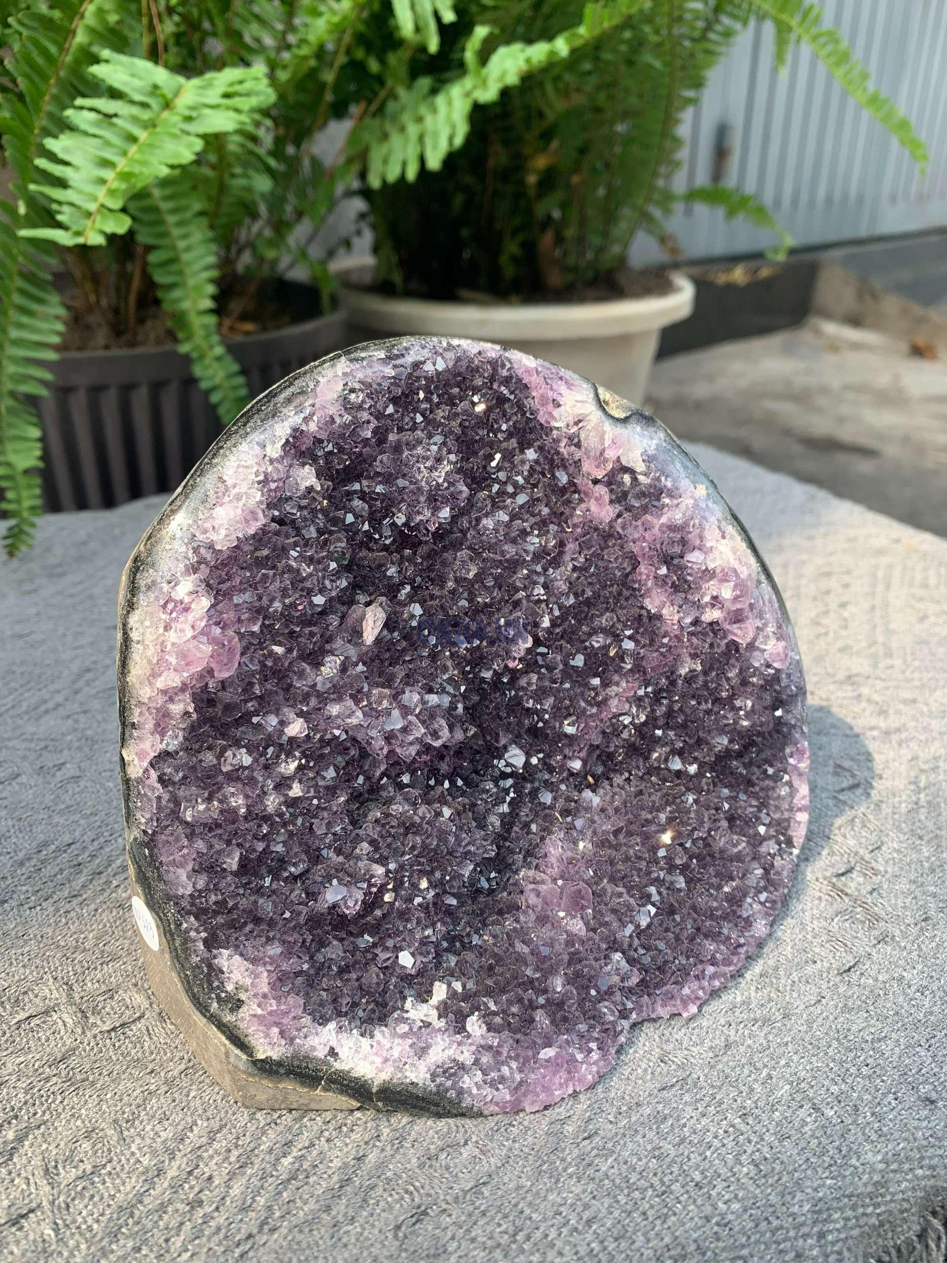 HỐC THẠCH ANH TÍM NHỎ – SMALL AMETHYST GEODE (TV523), KL: 1,546KG, KT: 12*15CM