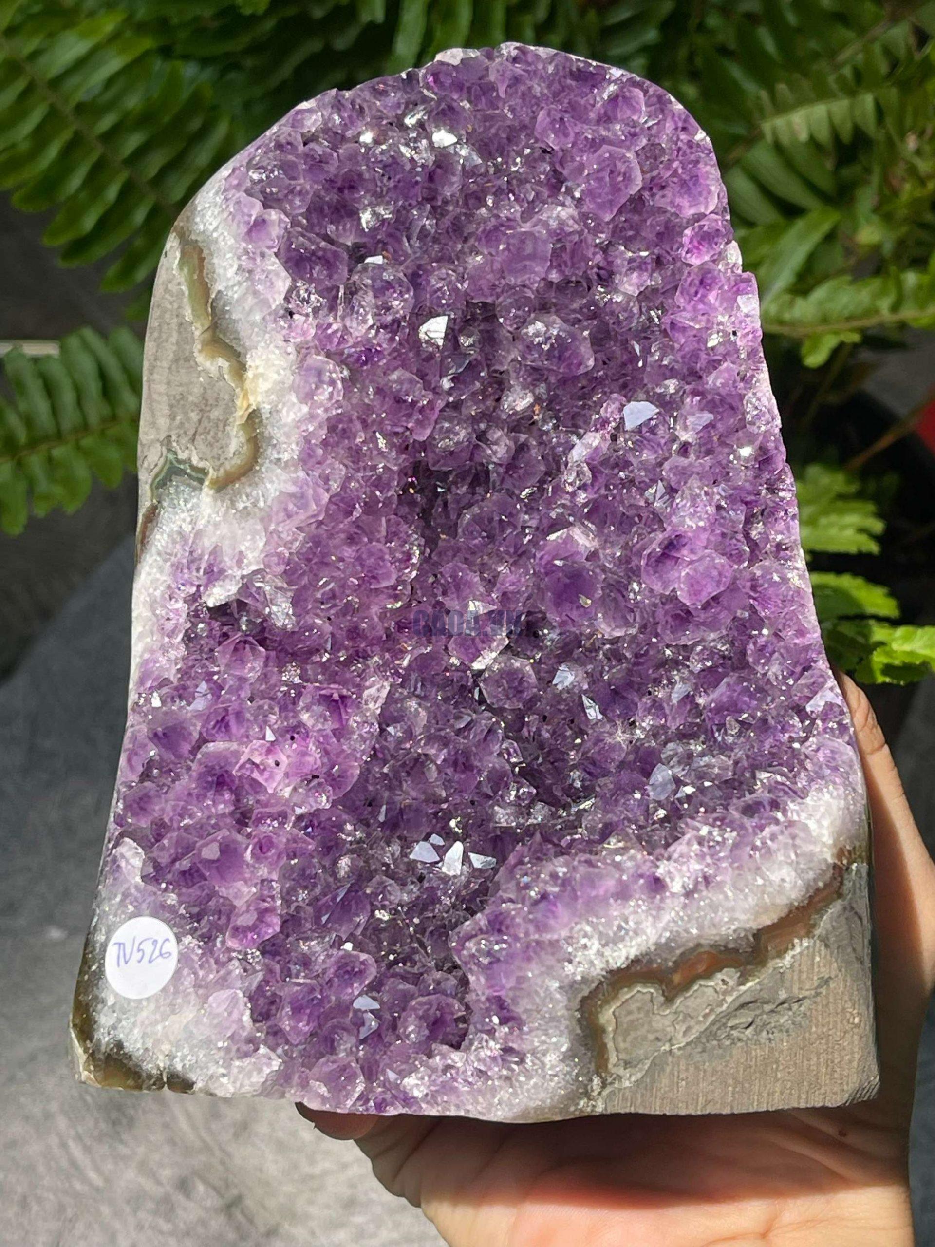 HỐC THẠCH ANH TÍM NHỎ – SMALL AMETHYST GEODE (TV526), KL: 1,606KG, KT: 16*10CM