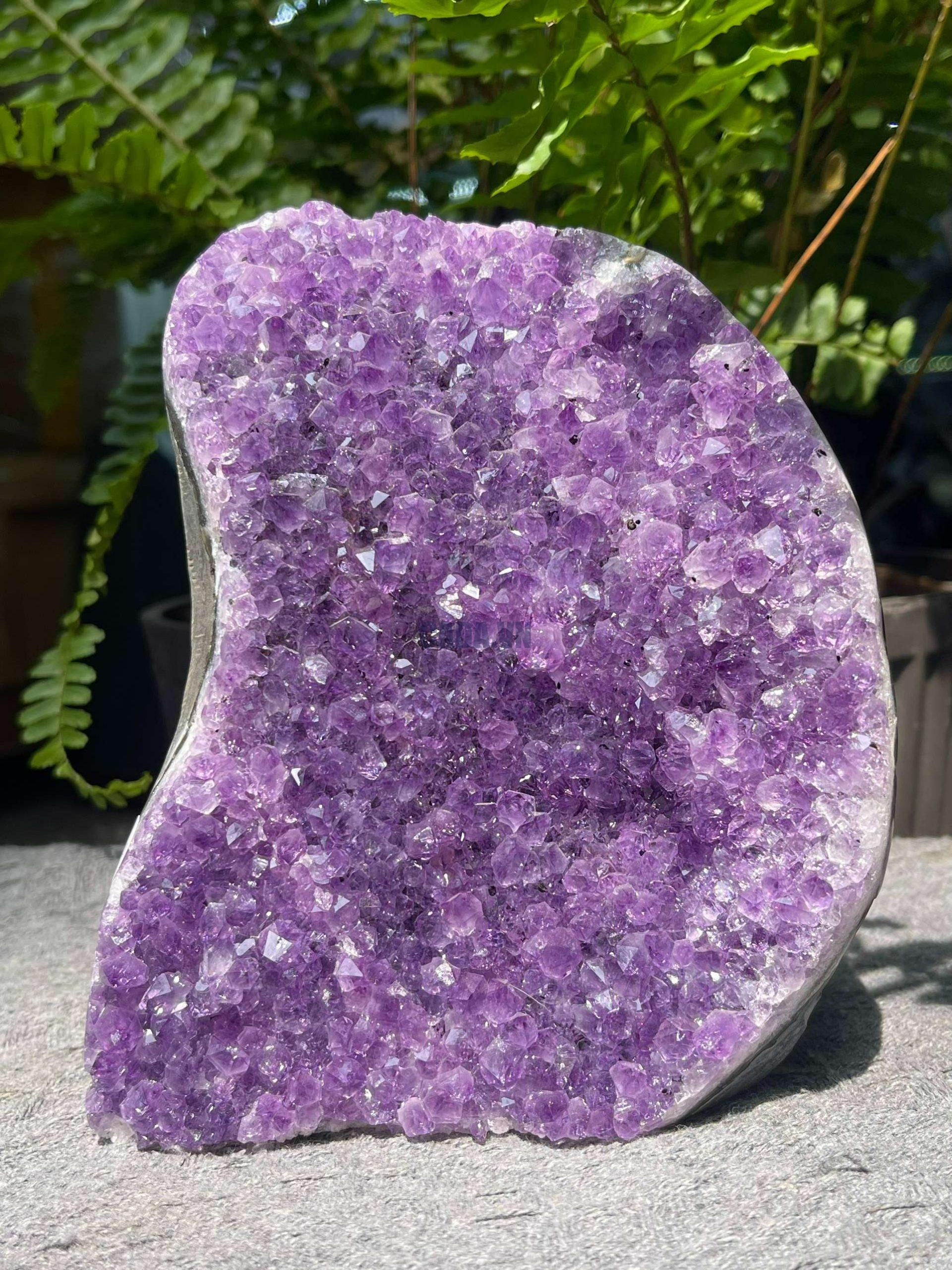 HỐC THẠCH ANH TÍM NHỎ – SMALL AMETHYST GEODE (TV537), KL: 1,264KG, KT: 16*11,5CM