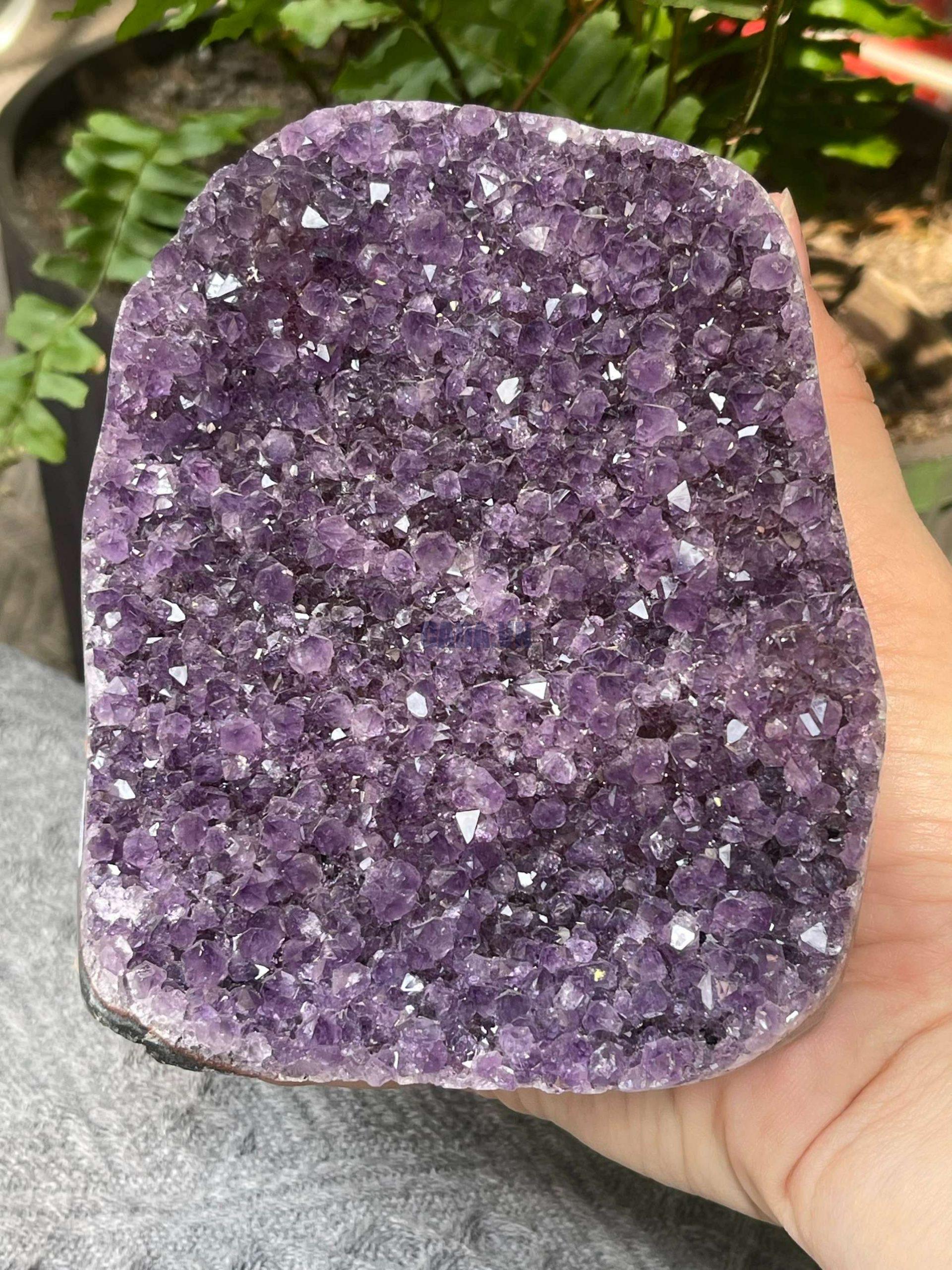 HỐC THẠCH ANH TÍM NHỎ – SMALL AMETHYST GEODE (TV545), KL: 1,106KG, KT: 12*10CM