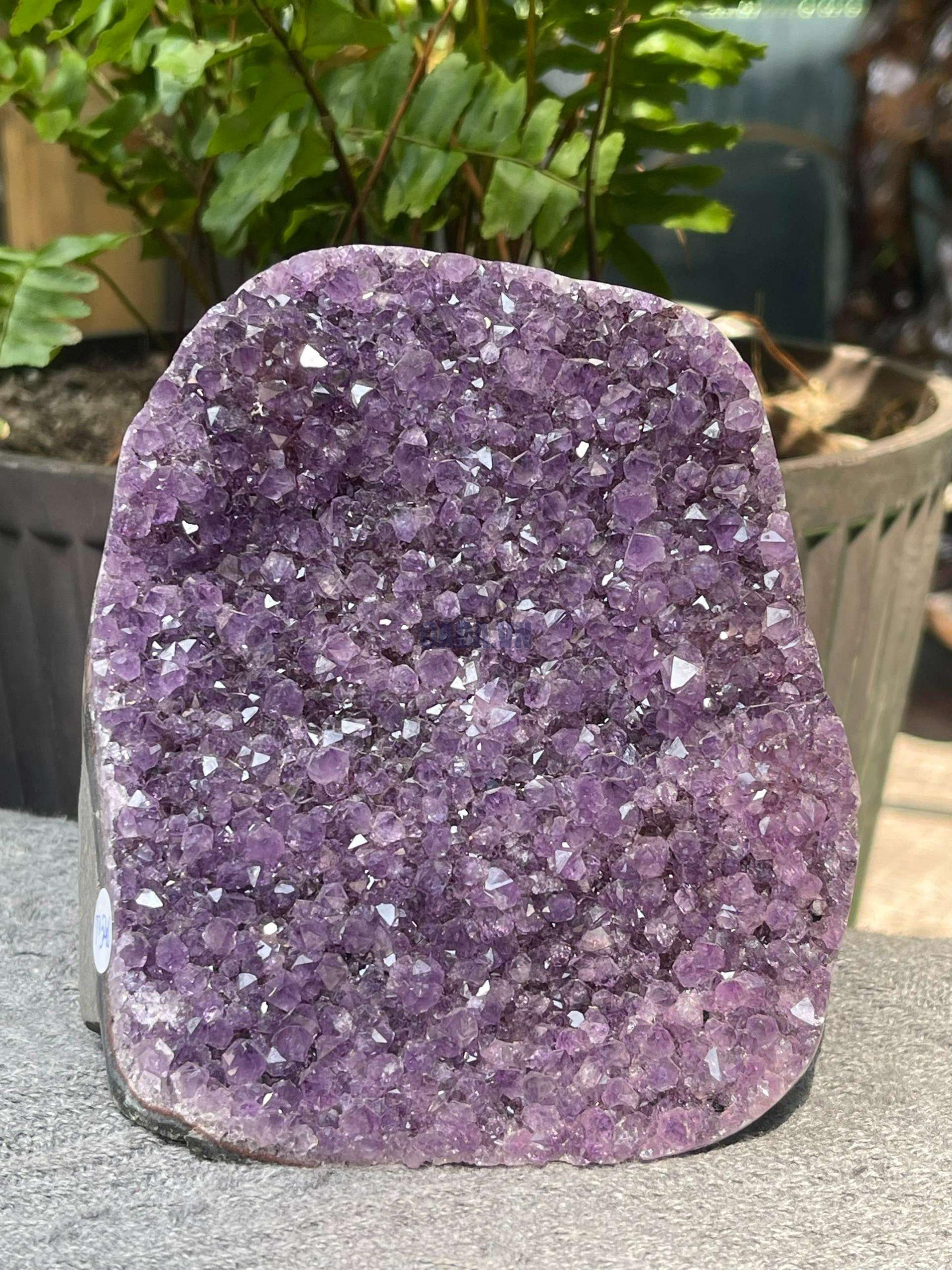 HỐC THẠCH ANH TÍM NHỎ – SMALL AMETHYST GEODE (TV545), KL: 1,106KG, KT: 12*10CM