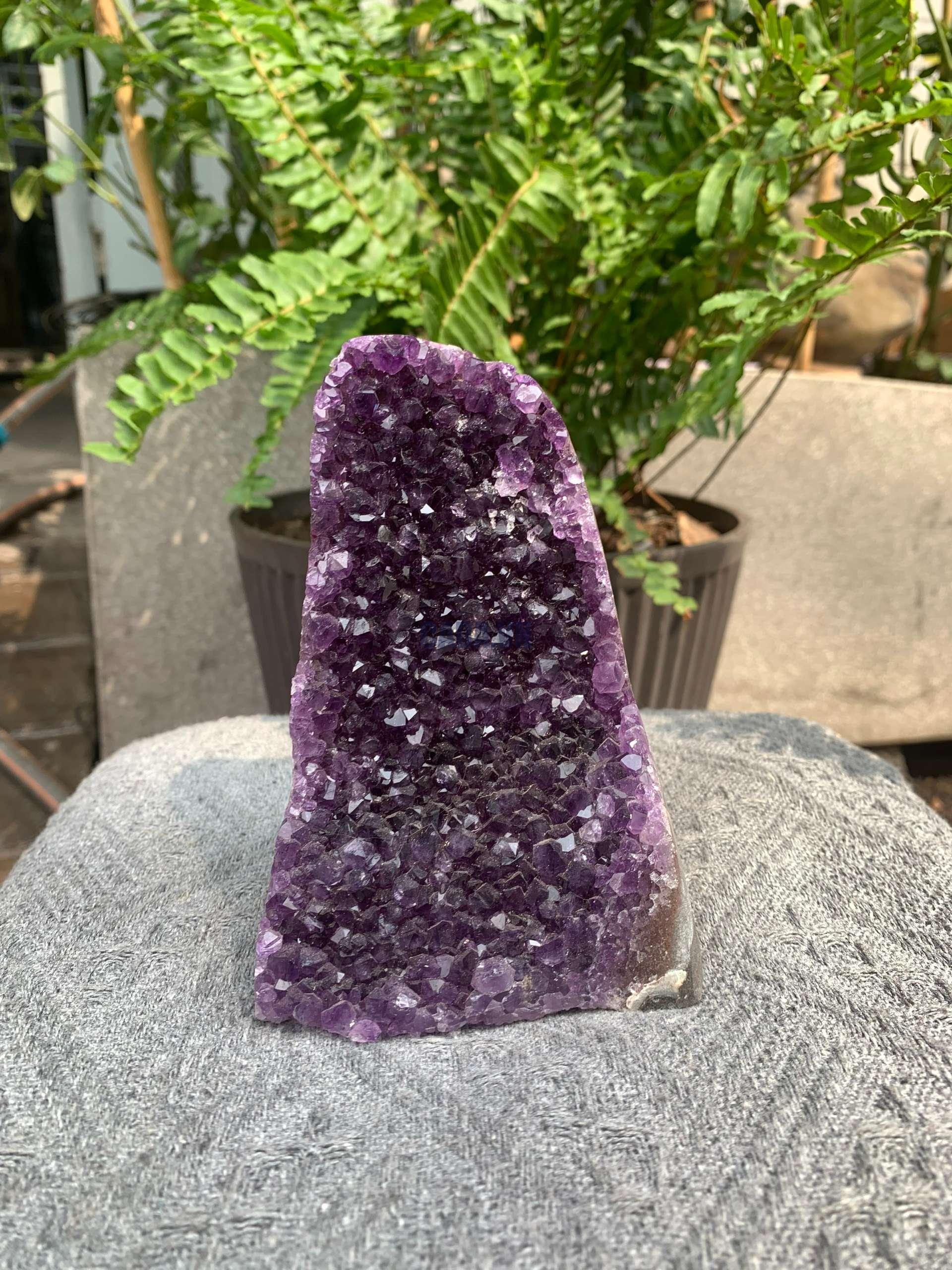 HỐC THẠCH ANH TÍM NHỎ – SMALL AMETHYST GEODE (TV551), KL: 0,776KG, KT: 13*8CM
