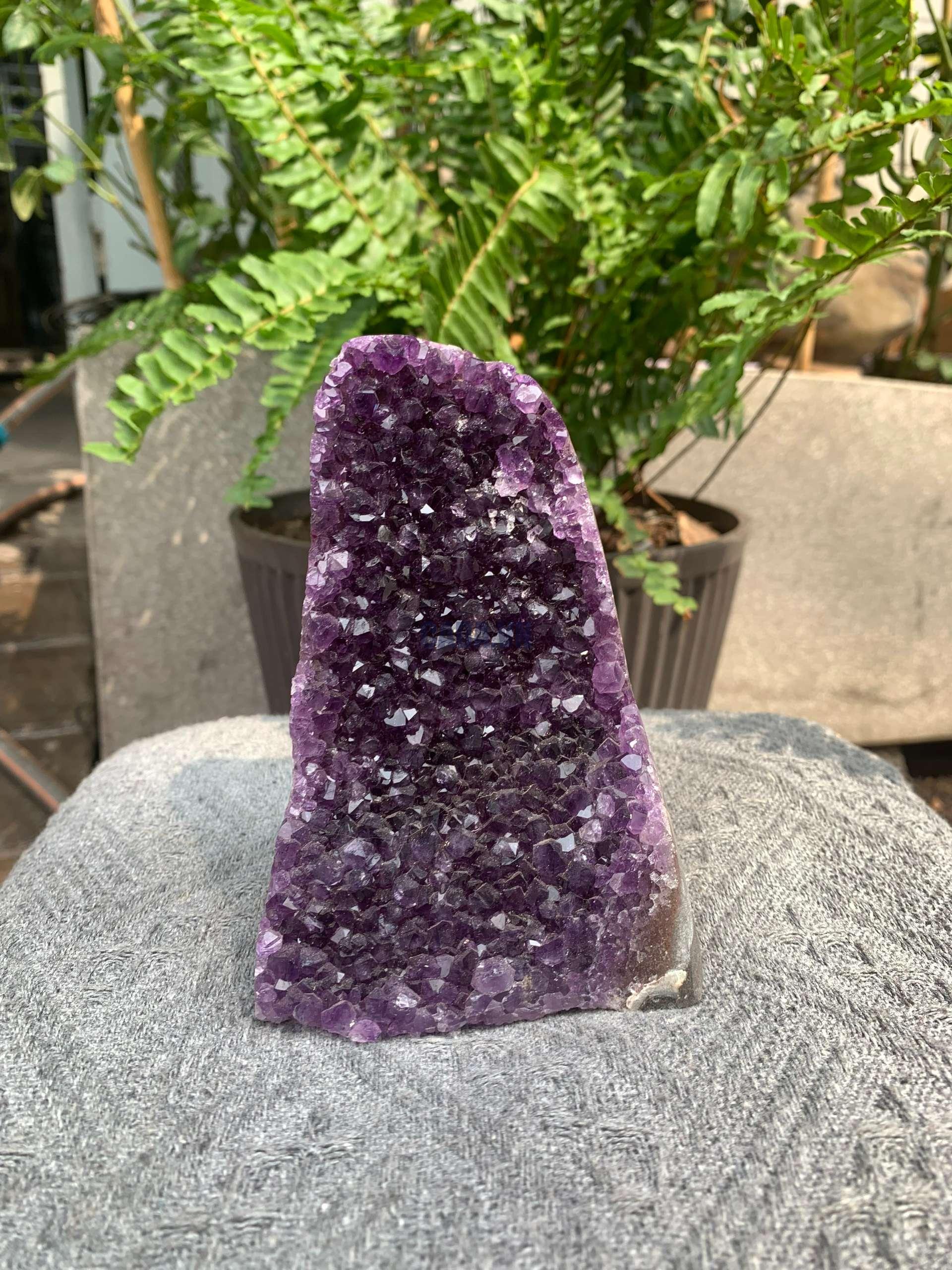 HỐC THẠCH ANH TÍM NHỎ – SMALL AMETHYST GEODE (TV551), KL: 0,776KG, KT: 13*8CM