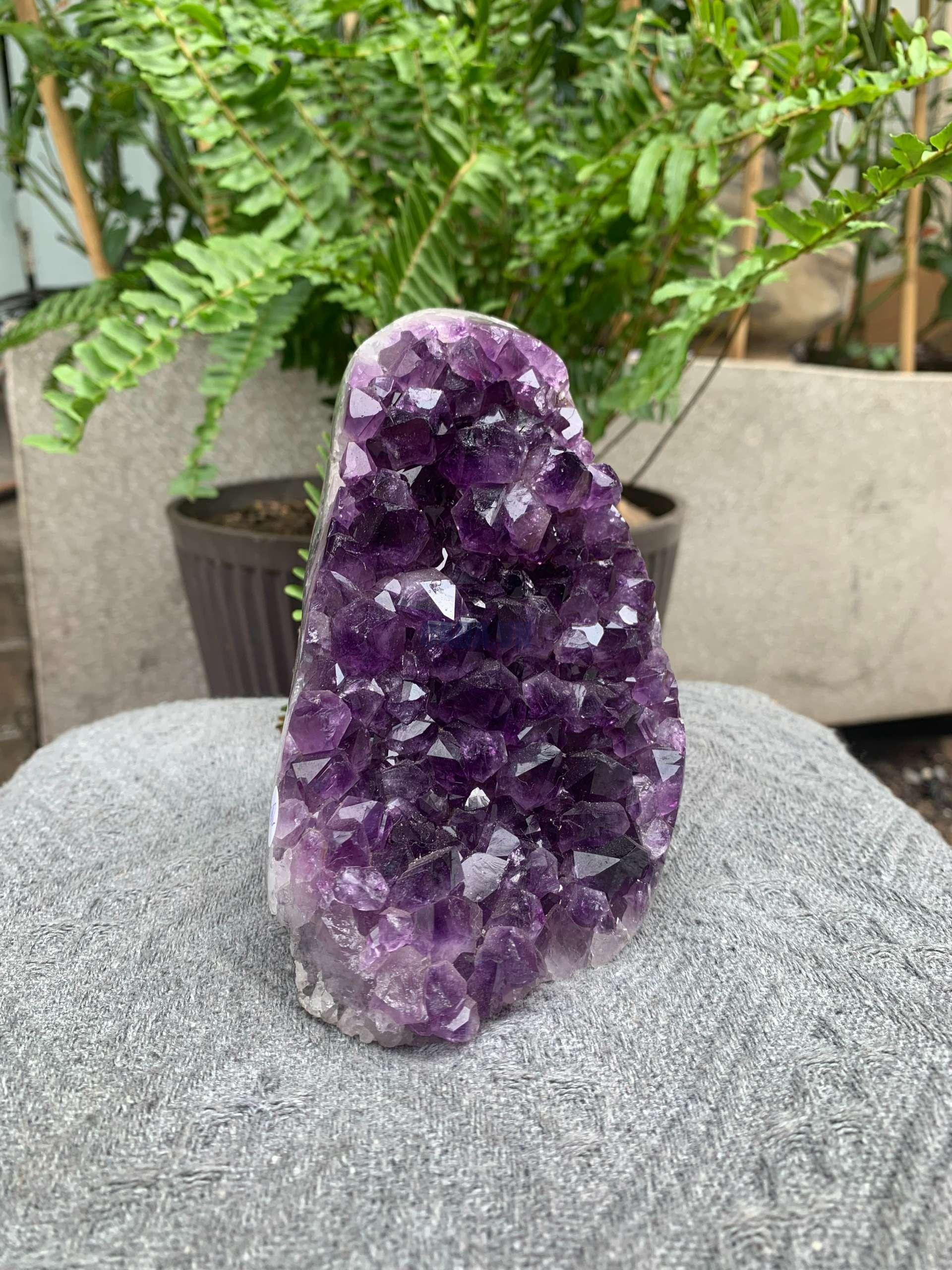 HỐC THẠCH ANH TÍM NHỎ – SMALL AMETHYST GEODE (TV552), KL: 1,24KG, KT: 13,5*8,5CM