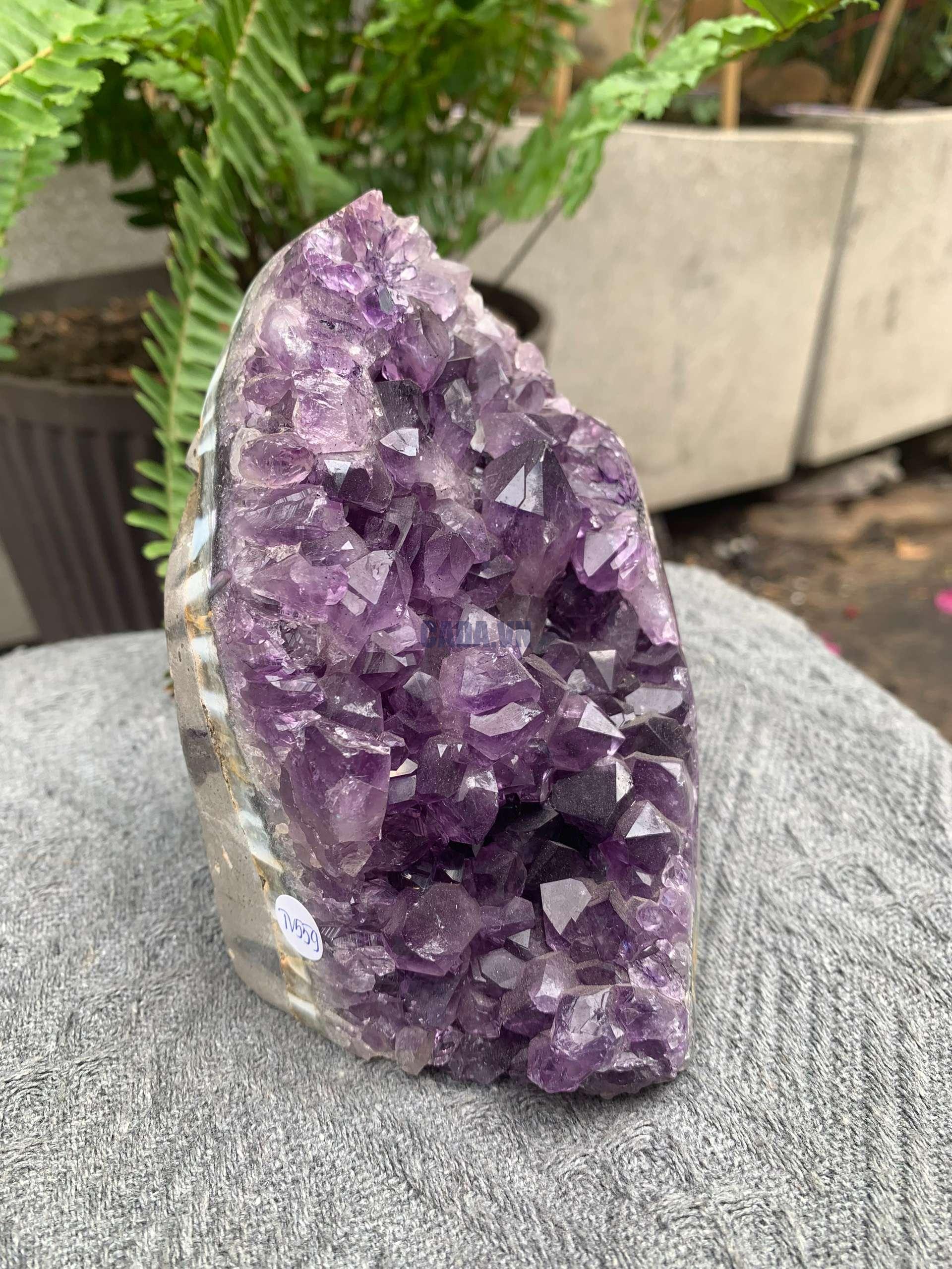 HỐC THẠCH ANH TÍM NHỎ – SMALL AMETHYST GEODE (TV559), KL: 1,072KG, KT: 14*8CM