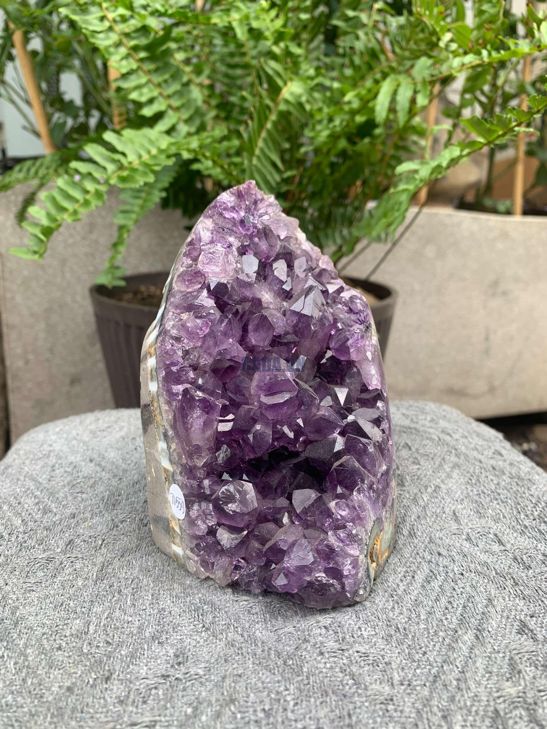 HỐC THẠCH ANH TÍM NHỎ – SMALL AMETHYST GEODE (TV559), KL: 1,072KG, KT: 14*8CM