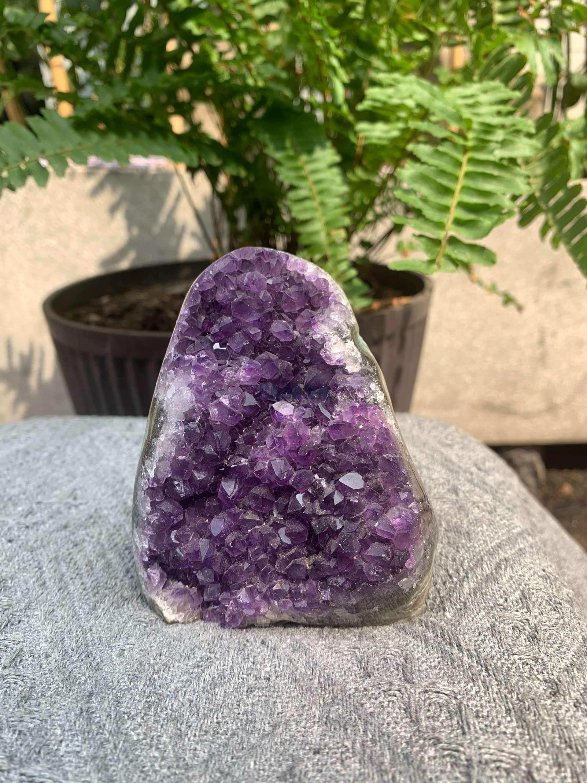 HỐC THẠCH ANH TÍM NHỎ – SMALL AMETHYST GEODE (TV561), KL: 0,466KG, KT: 10*7,5CM