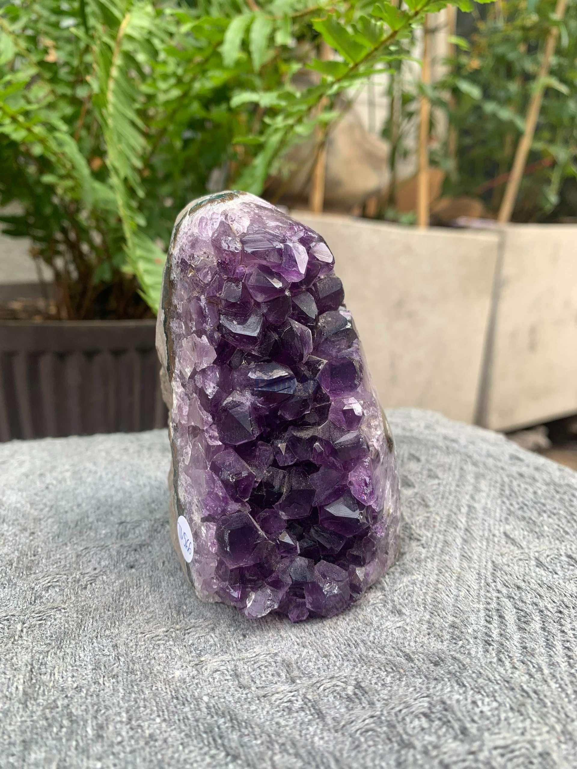 HỐC THẠCH ANH TÍM NHỎ – SMALL AMETHYST GEODE (TV566), KL: 0,554KG, KT: 9*4CM