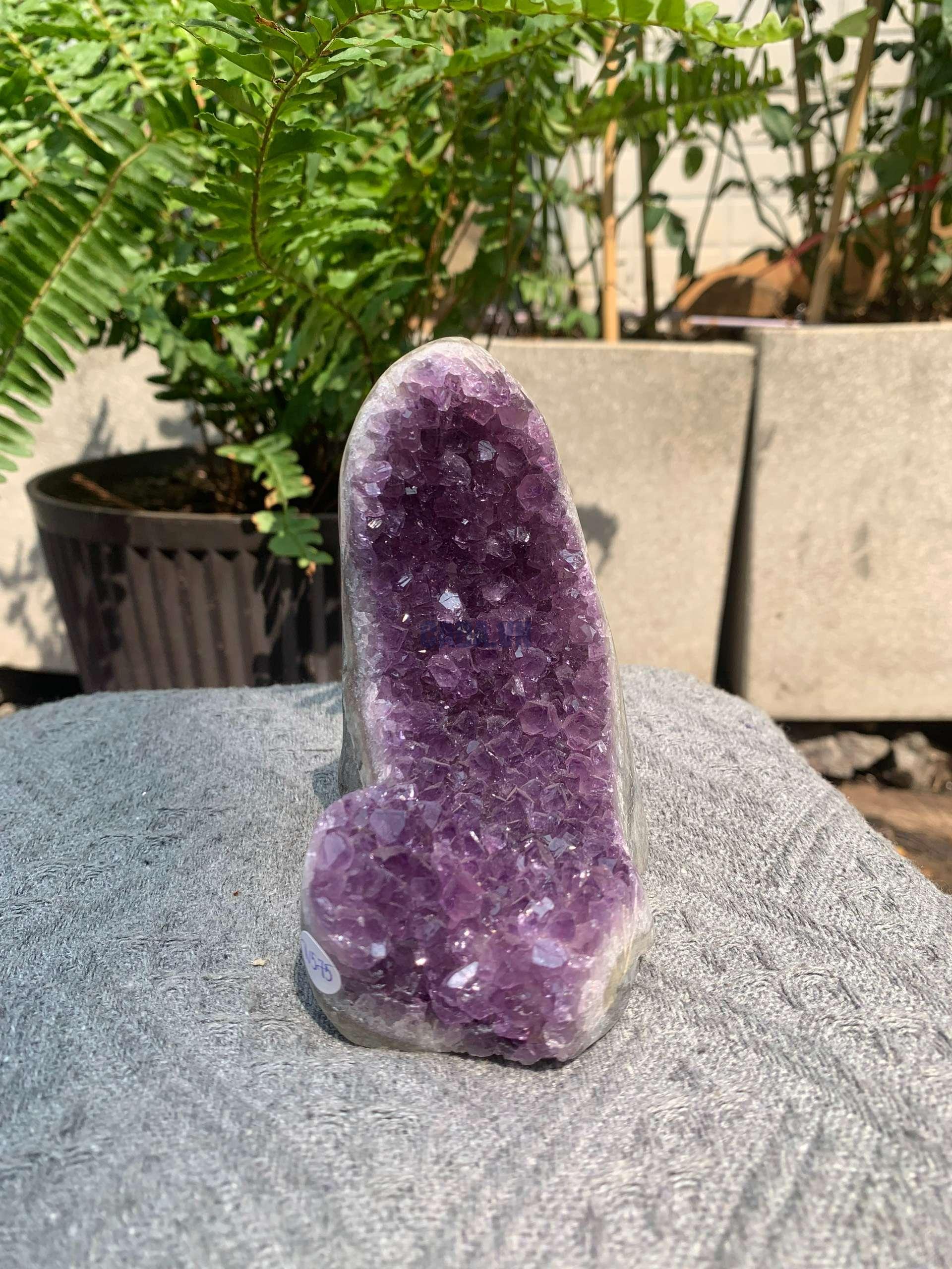 HỐC THẠCH ANH TÍM NHỎ – SMALL AMETHYST GEODE (TV575), KL: 0,516KG, KT: 11*5CM