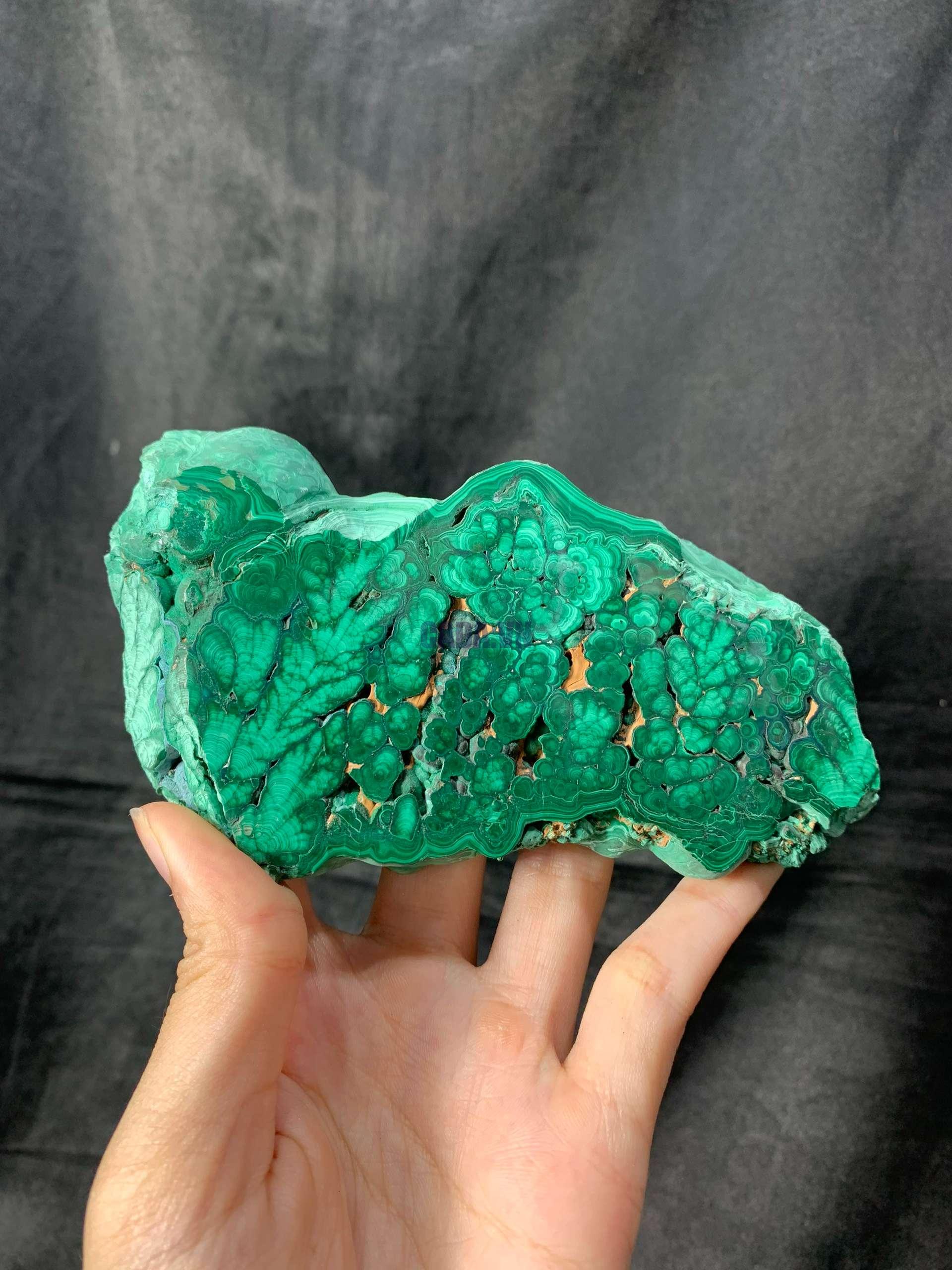 Malachite Slice – Đá Lông Công – Đá Khổng Tước | CADA DECOR