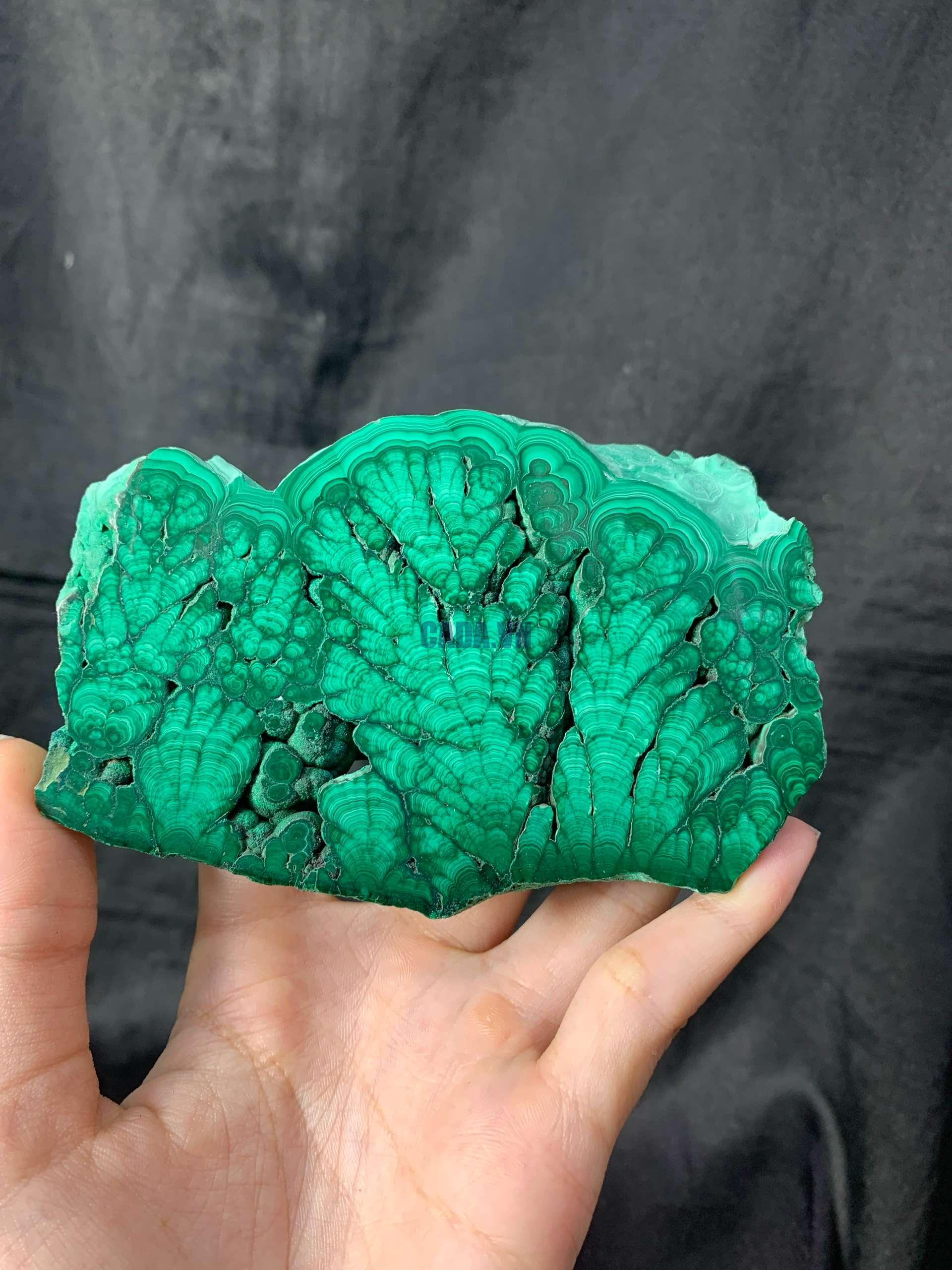 Malachite Slice – Đá Lông Công – Đá Khổng Tước | CADA DECOR