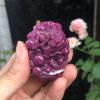 MẶT DÂY ĐÁ RUBY | CADA DECOR