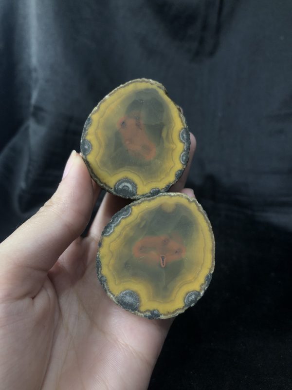 CẶP HỐC ĐÔI MÃ NÃO VÂN, KL: 97,5g | CADA DECOR