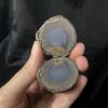 CẶP HỐC ĐÔI MÃ NÃO VÂN, KL: 56,8g | CADA DECOR