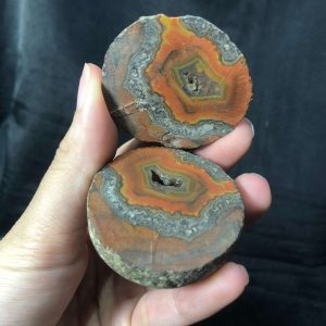 CẶP HỐC ĐÔI MÃ NÃO VÂN, KL: 100g | CADA DECOR