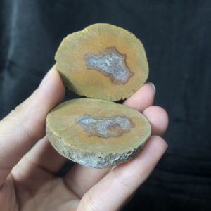 CẶP HỐC ĐÔI MÃ NÃO VÂN, KL: 58,9g | CADA DECOR