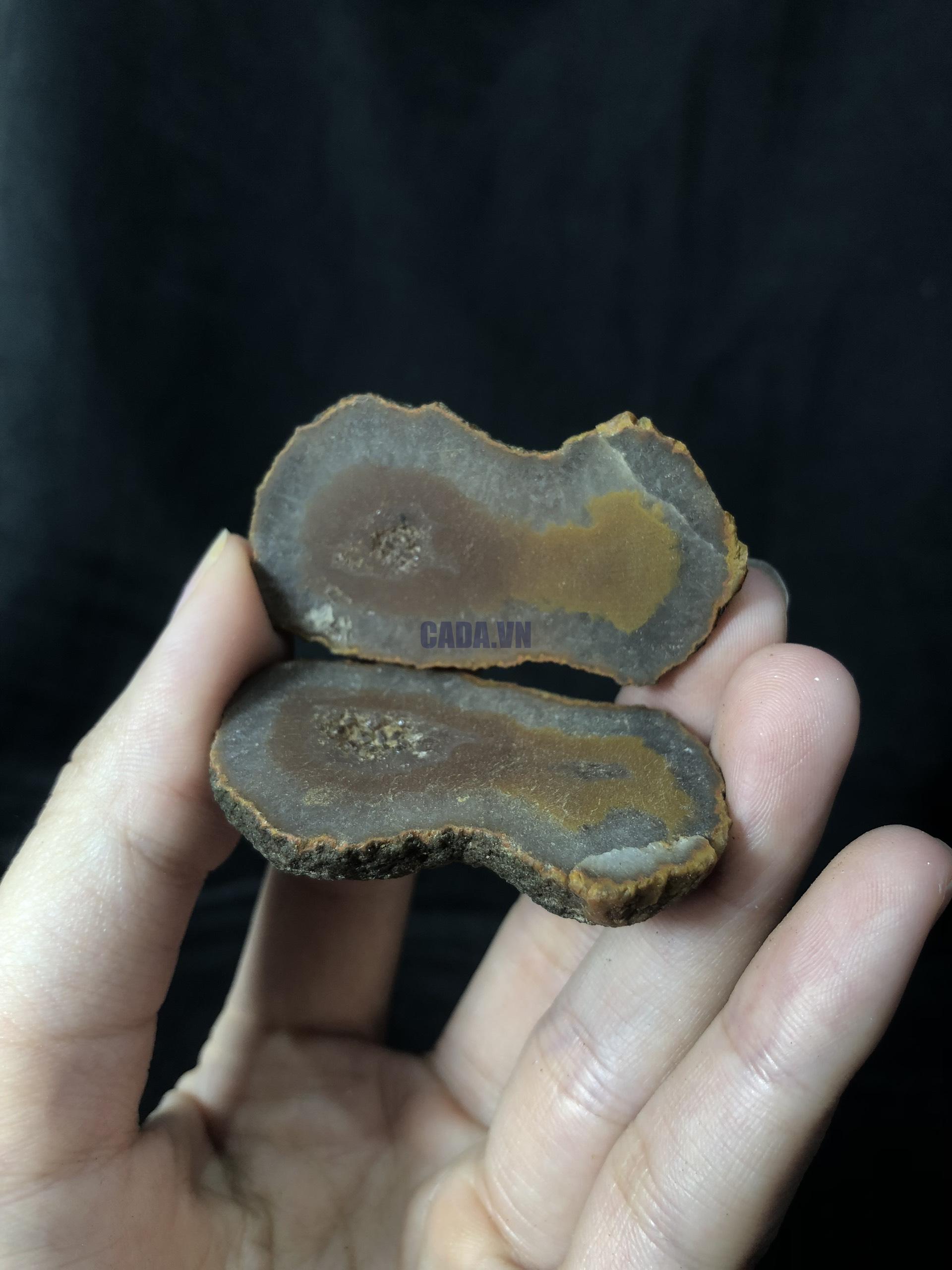 CẶP HỐC ĐÔI MÃ NÃO VÂN, KL: 37,7g | CADA DECOR