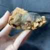 Agate Geode with Smoky Quartz – Hốc Mã Não cộng sinh tinh thể Thạch Anh Khói | CADA DECOR
