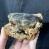 Agate Geode with Smoky Quartz - Hốc Mã Não cộng sinh tinh thể Thạch Anh Khói | CADA DECOR