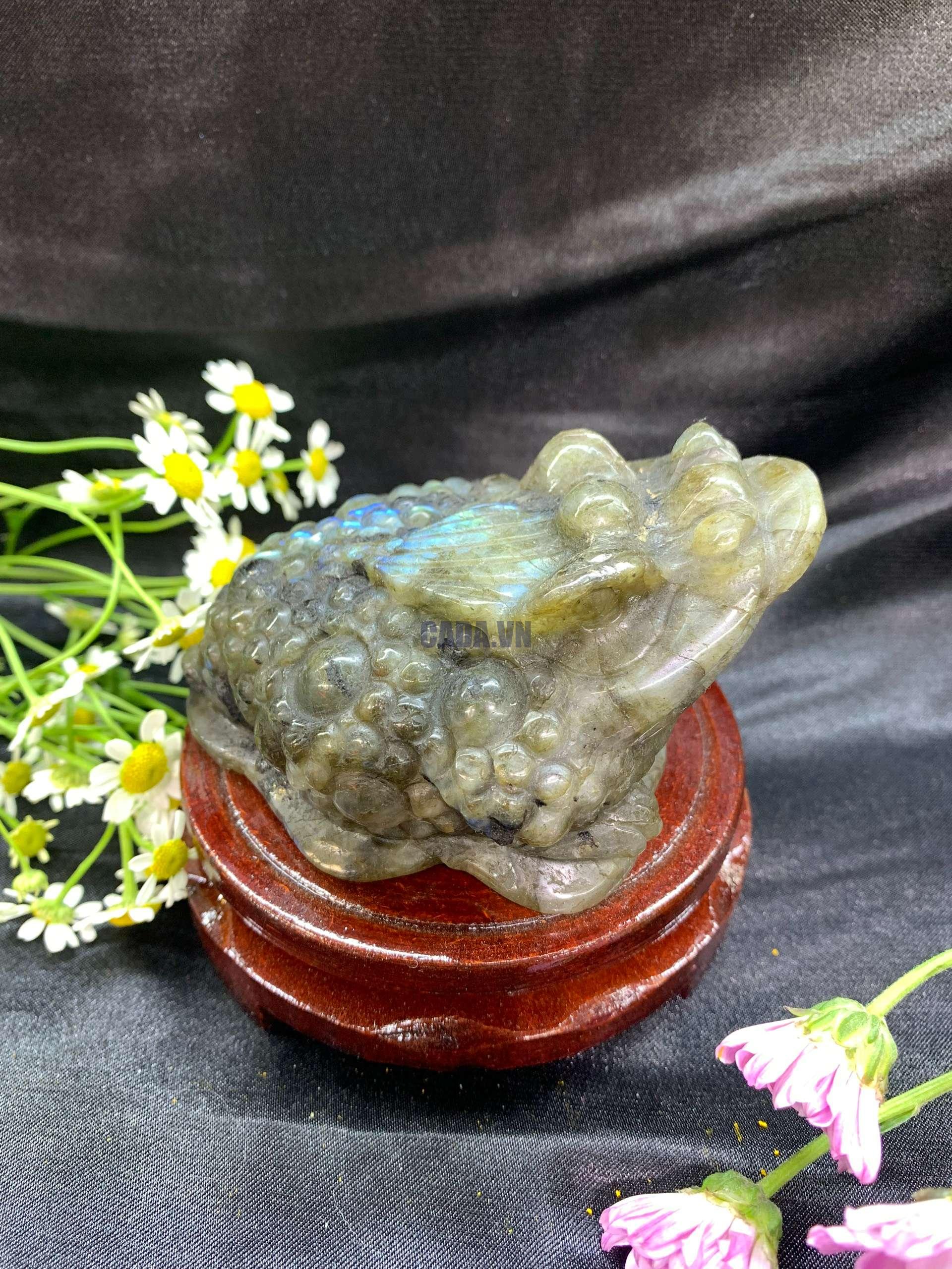 Thiềm Thừ Đá Xà Cừ | CADA DECOR