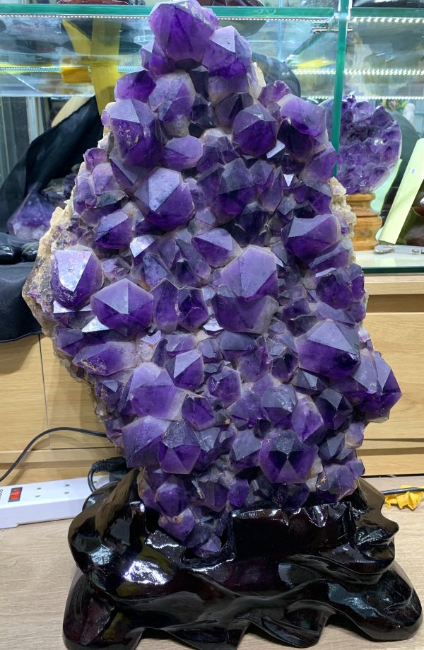 Vỉ mầm thạch anh tím